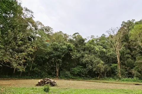 Condomínio Fazenda Voturuna, foto 11 de 19